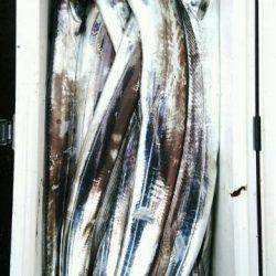 釣り船くわだ 釣果