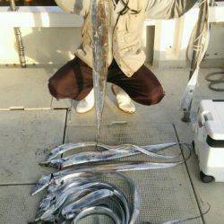 釣り船くわだ 釣果