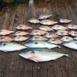 由良海上釣り堀 海人 釣果