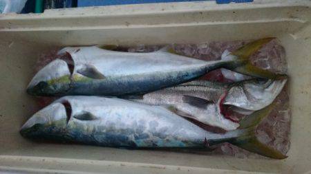 釣り船武蔵 釣果