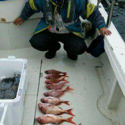 釣り船くわだ 釣果