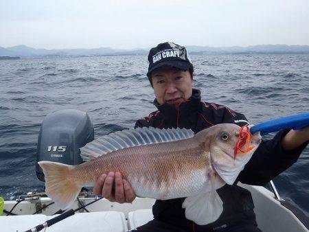 フィッシングボート空風(そらかぜ) 釣果