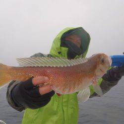 フィッシングボート空風(そらかぜ) 釣果