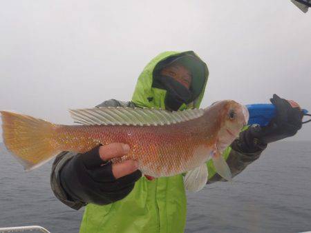 フィッシングボート空風(そらかぜ) 釣果