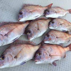 Fisherman Dreams DI 釣果