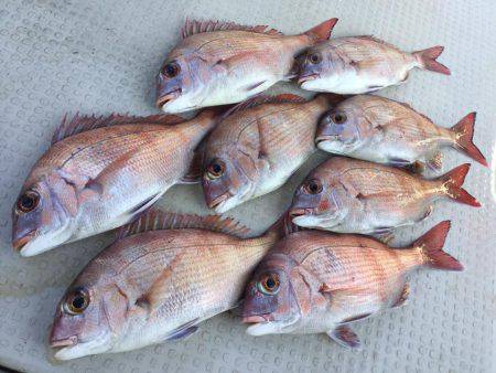 Fisherman Dreams DI 釣果