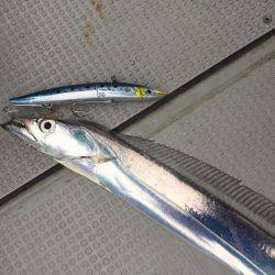 Fisherman Dreams DI 釣果