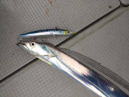 Fisherman Dreams DI 釣果