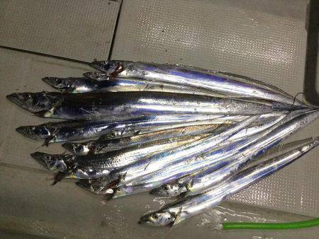 Fisherman Dreams DI 釣果