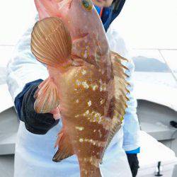 Fisherman Dreams DI 釣果