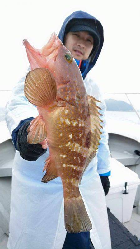 Fisherman Dreams DI 釣…