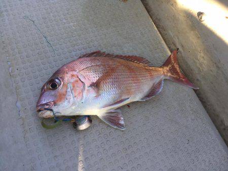 Fisherman Dreams DI 釣果