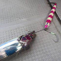 Fisherman Dreams DI 釣果