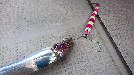 Fisherman Dreams DI 釣果