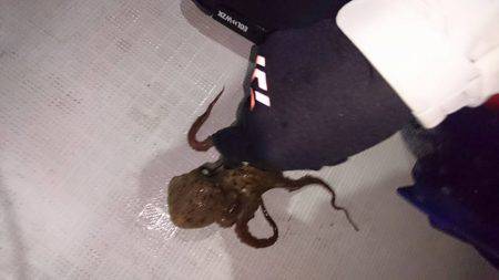 Fisherman Dreams DI 釣…