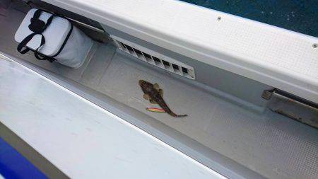 Fisherman Dreams DI 釣果