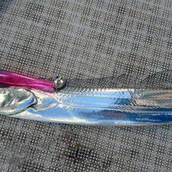 Fisherman Dreams DI 釣果