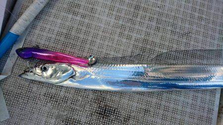 Fisherman Dreams DI 釣…