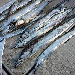 Fisherman Dreams DI 釣果