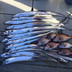 Fisherman Dreams DI 釣果