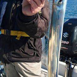 Fisherman Dreams DI 釣果