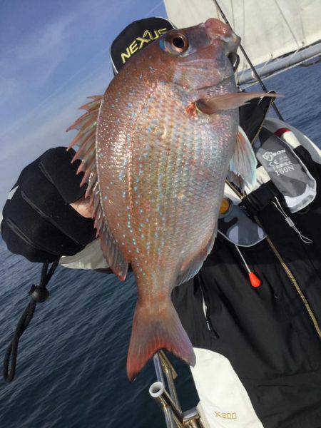 Fisherman Dreams DI 釣果