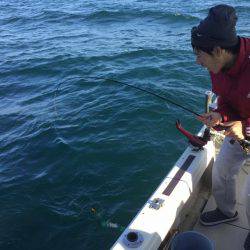 Fisherman Dreams DI 釣果