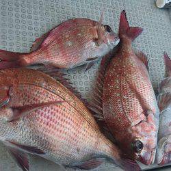 Fisherman Dreams DI 釣果