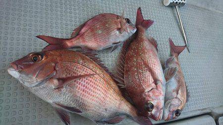 Fisherman Dreams DI 釣果