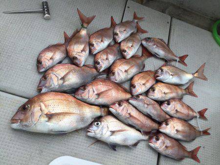 Fisherman Dreams DI 釣果