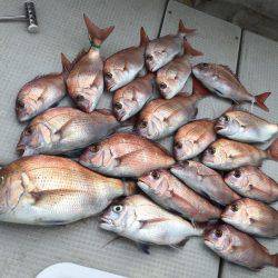 Fisherman Dreams DI 釣果