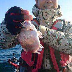 Fisherman Dreams DI 釣果