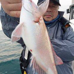 Fisherman Dreams DI 釣果