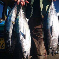 結愛丸 釣果