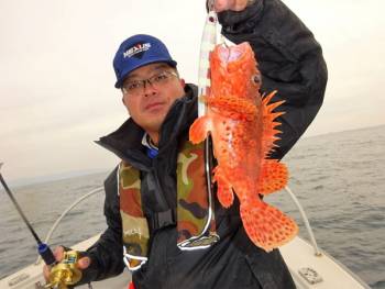 鯛紅丸 釣果