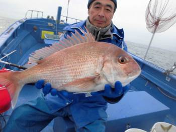 鯛紅丸 釣果