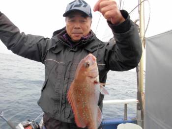 鯛紅丸 釣果