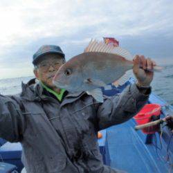 鯛紅丸 釣果
