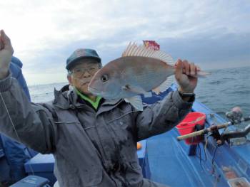 鯛紅丸 釣果
