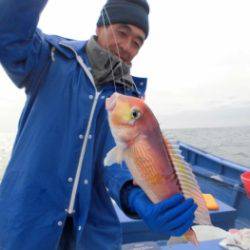 鯛紅丸 釣果