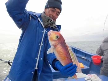 鯛紅丸 釣果
