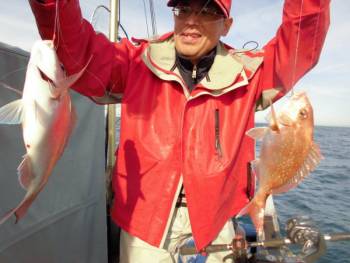 鯛紅丸 釣果