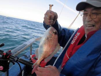 鯛紅丸 釣果
