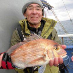鯛紅丸 釣果