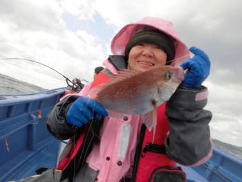 鯛紅丸 釣果