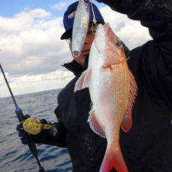 鯛紅丸 釣果
