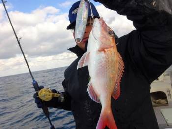 鯛紅丸 釣果