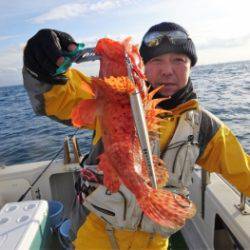 鯛紅丸 釣果