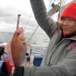 鯛紅丸 釣果