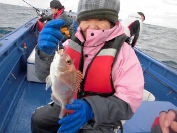 鯛紅丸 釣果